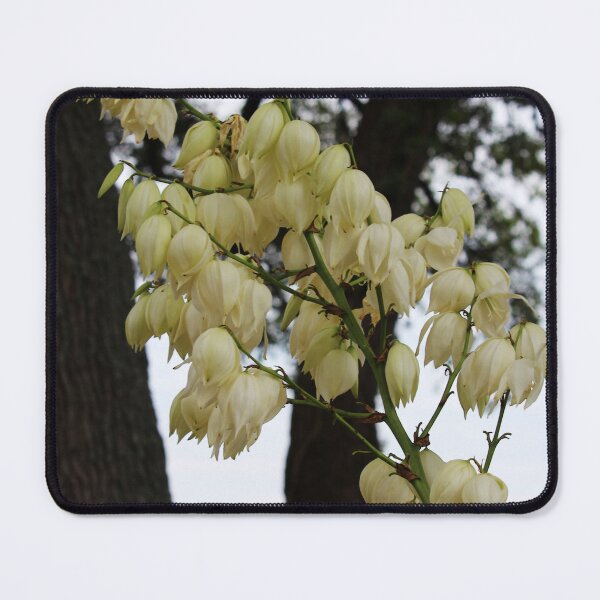 Item preview, White Bud Flowers  designed and sold by Cynthia48.