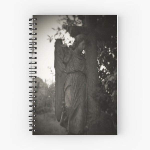 Artikelvorschau, Feine Kunst-Fotografie gemacht mit Toy Camera - Engels-Monument, Abney Park, London entworfen und verkauft von Christopher Ball.