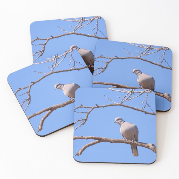 Item preview, Eurasian Collared-Dove  designed and sold by CarolM.