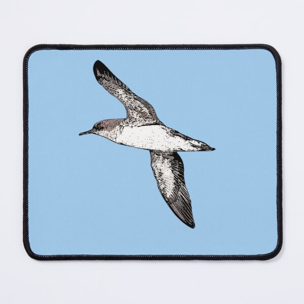 Item preview, Hutton's Shearwater Black Alternate Design designed and sold by designsasstultd.
