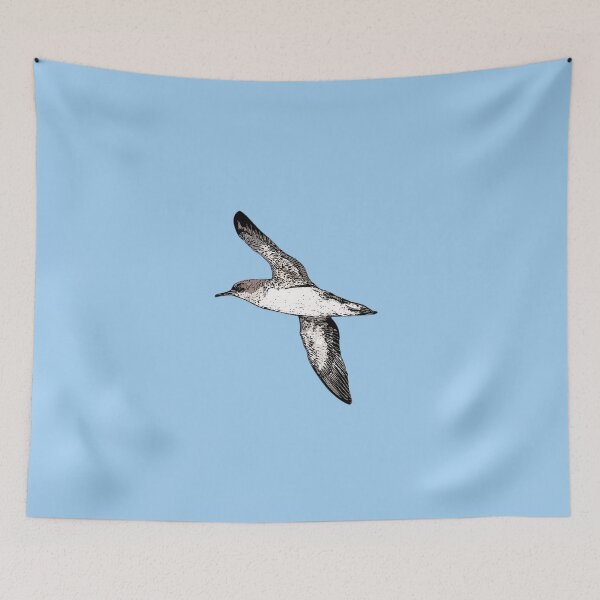 Item preview, Hutton's Shearwater Black Alternate Design  designed and sold by designsasstultd.