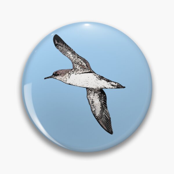 Item preview, Hutton's Shearwater Black Alternate Design  designed and sold by designsasstultd.