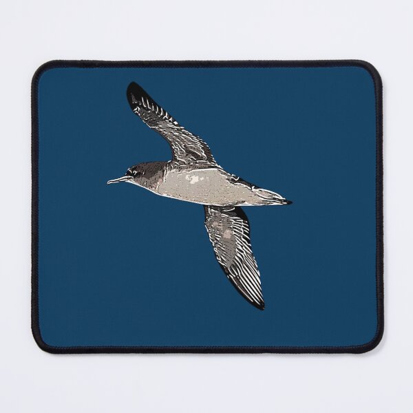 Item preview, Hutton's Shearwater White Alternate Design  designed and sold by designsasstultd.