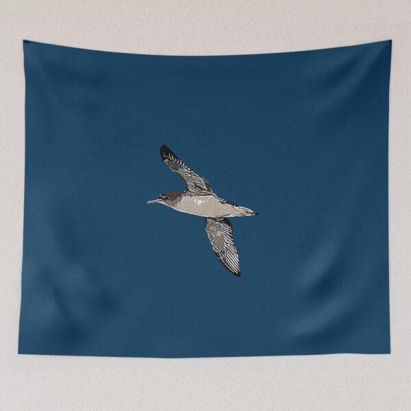 Item preview, Hutton's Shearwater White Alternate Design  designed and sold by designsasstultd.
