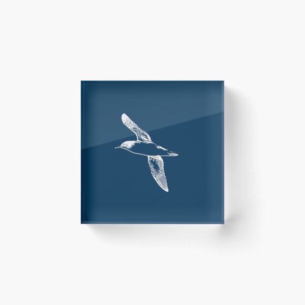 Item preview, Hutton's Shearwater White Design  designed and sold by designsasstultd.