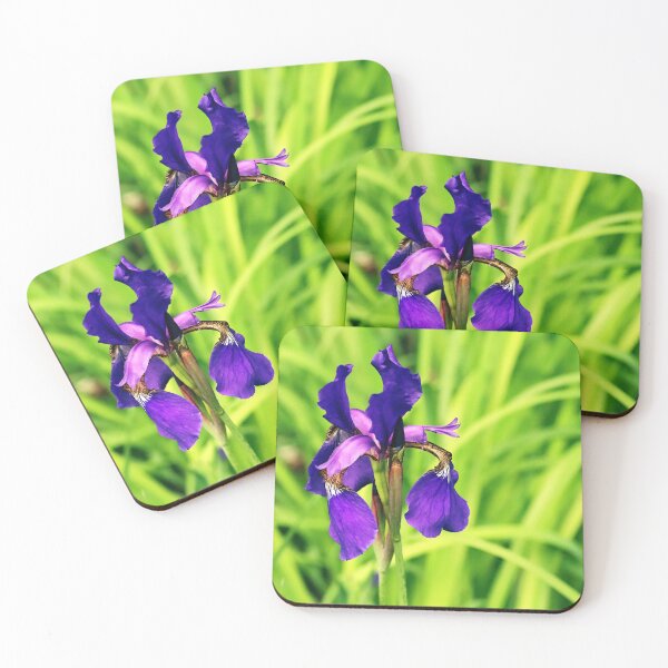 Item preview, Vibrant Siberian Iris designed and sold by Deb Oppermann.