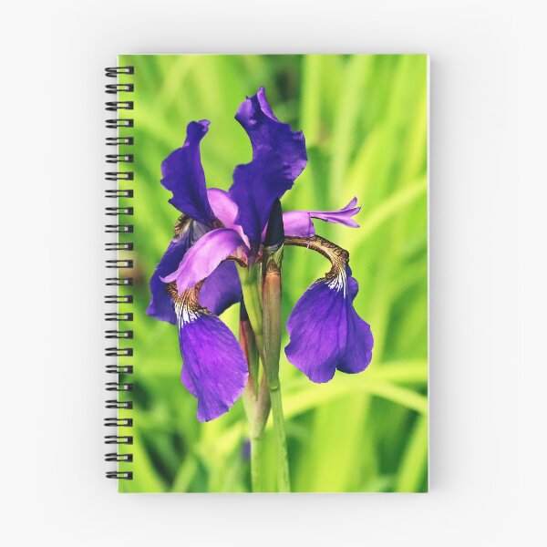 Item preview, Vibrant Siberian Iris designed and sold by Deb Oppermann.