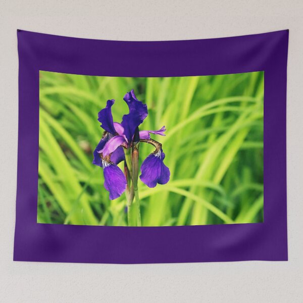 Item preview, Vibrant Siberian Iris designed and sold by Deb Oppermann.