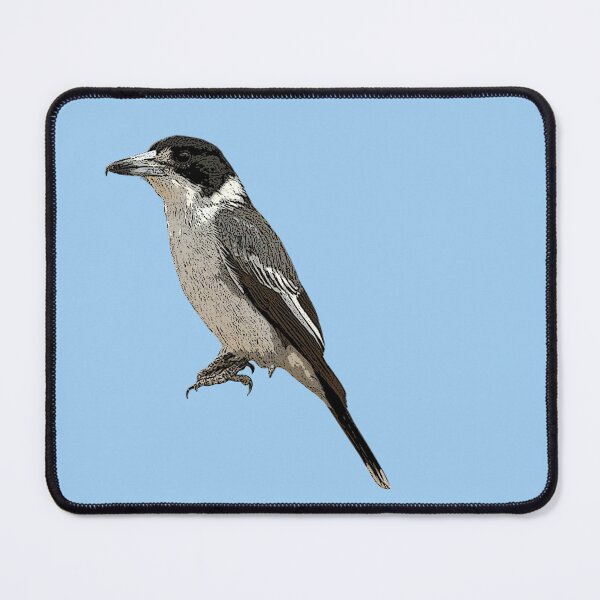 Item preview, Gray Butcherbird Color Design  designed and sold by designsasstultd.