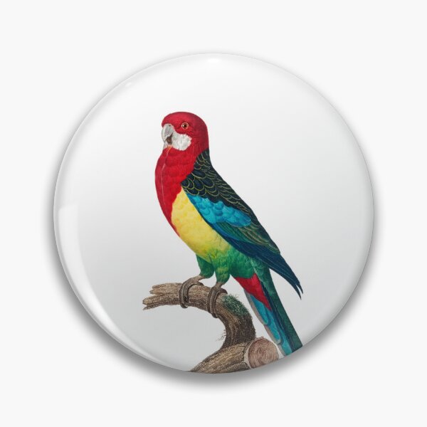 Item preview, Vintage colourful redhead parrot art designed and sold by Aysa Galaxy.