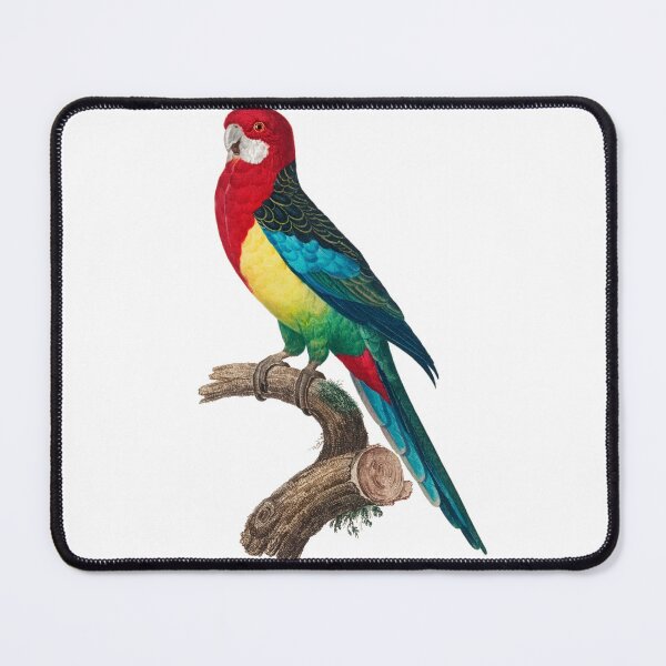 Item preview, Vintage colourful redhead parrot art designed and sold by Aysa Galaxy.