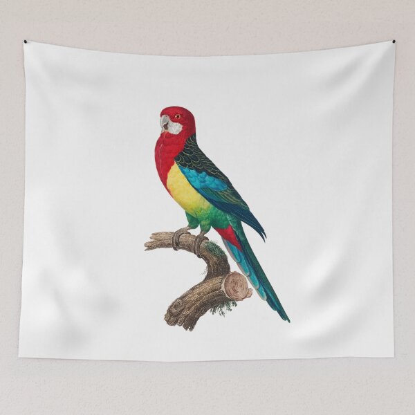 Item preview, Vintage colourful redhead parrot art designed and sold by Aysa Galaxy.