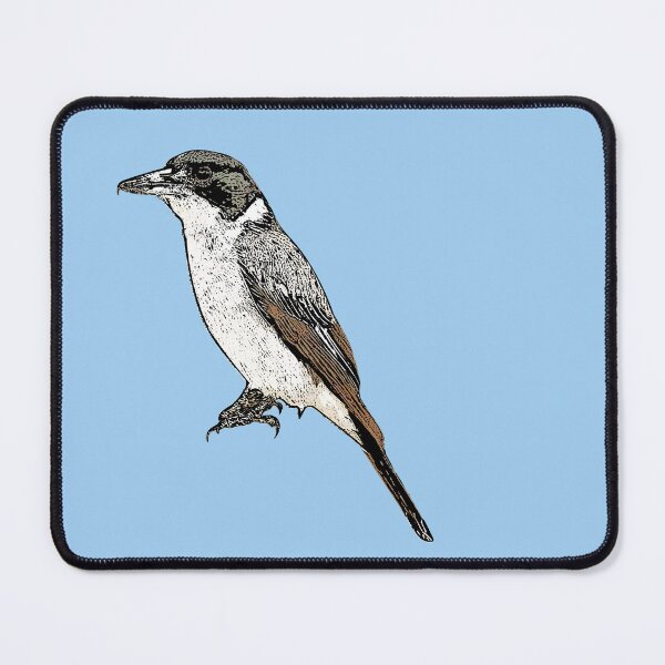 Item preview, Gray Butcherbird Black Alternate Design designed and sold by designsasstultd.