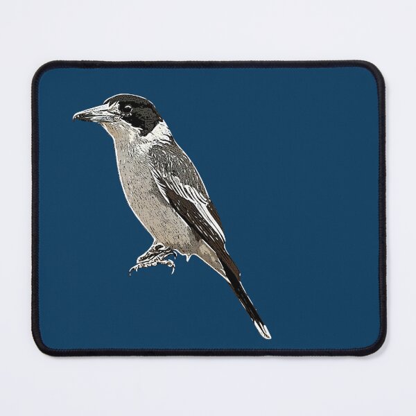 Item preview, Gray Butcherbird White Alternate Design designed and sold by designsasstultd.