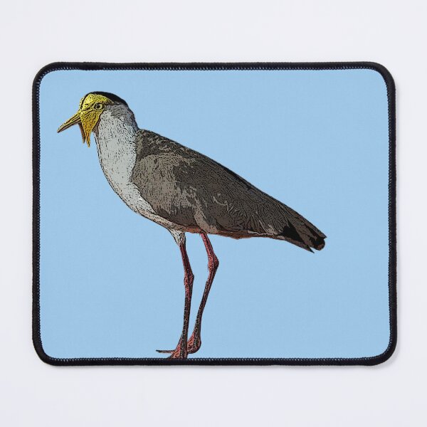 Item preview, Masked Lapwing Color Design designed and sold by designsasstultd.