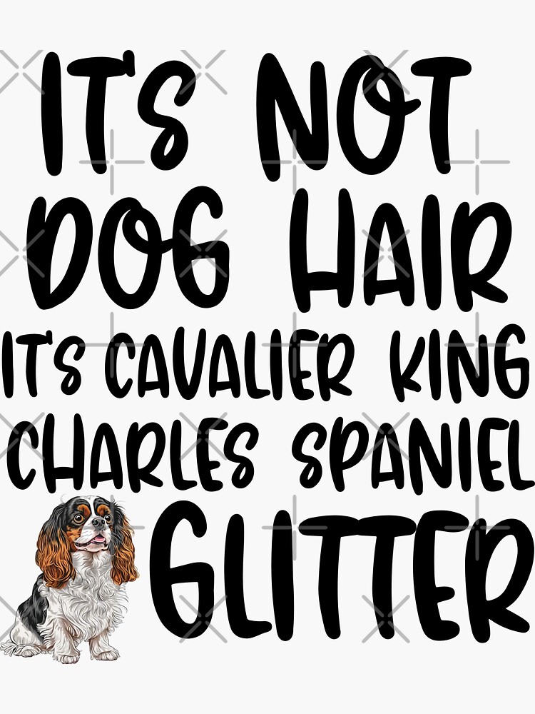 Not Hair Cavalier King Charles Spaniel Glitter T-Shirt Not Hair Cavalier King Charles Spaniel Glitter T-Shirt