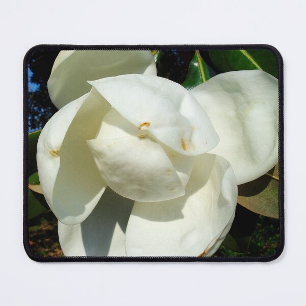 Item preview, Magnolia Bloom designed and sold by DesignsbyAunt.