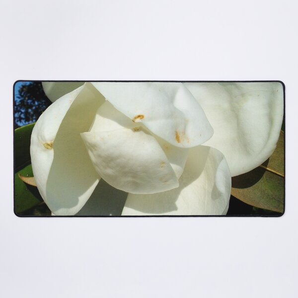 Item preview, Magnolia Bloom designed and sold by DesignsbyAunt.