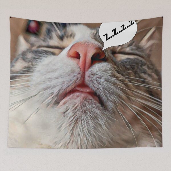 Item preview, Cat Sleeping designed and sold by YHWH Photography.