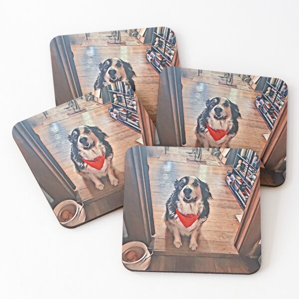 Item preview, Dog in Bandana designed and sold by YHWH Photography.