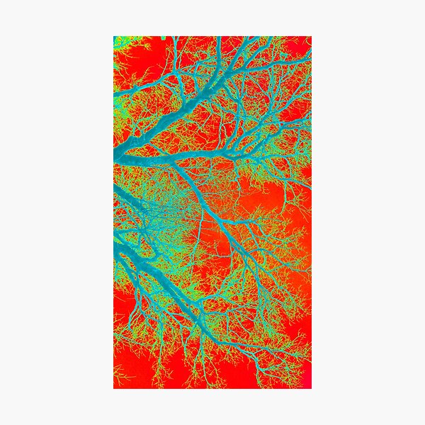 Vista previa del artículo con la obra «Caja de teléfono naranja», diseñado y vendido por CateJacobs.