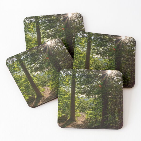 Item preview, Trail to Eagle's Nest Lookout, Bancroft, Ontario designed and sold by jrtwynam.