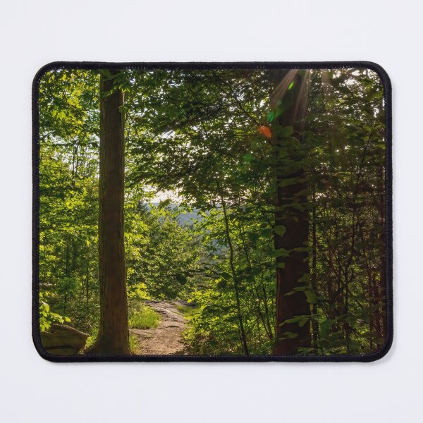 Item preview, Trail to Eagle's Nest Lookout, Bancroft, Ontario designed and sold by jrtwynam.
