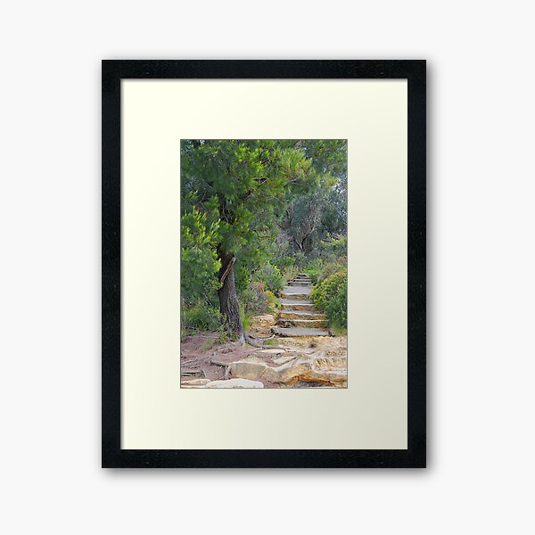 Treescape - Evans Lookout NSW Framed Art Print
