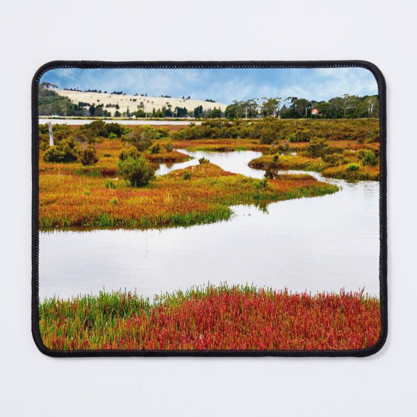 Item preview, WATER VIEWS, OCEAN WETLANDS IN TASMANIA, A BEAUTIFUL RESERVE FOR WILDLIFE, STUNNING WALL ART designed and sold by Barbara Jean Photo Art And Design.