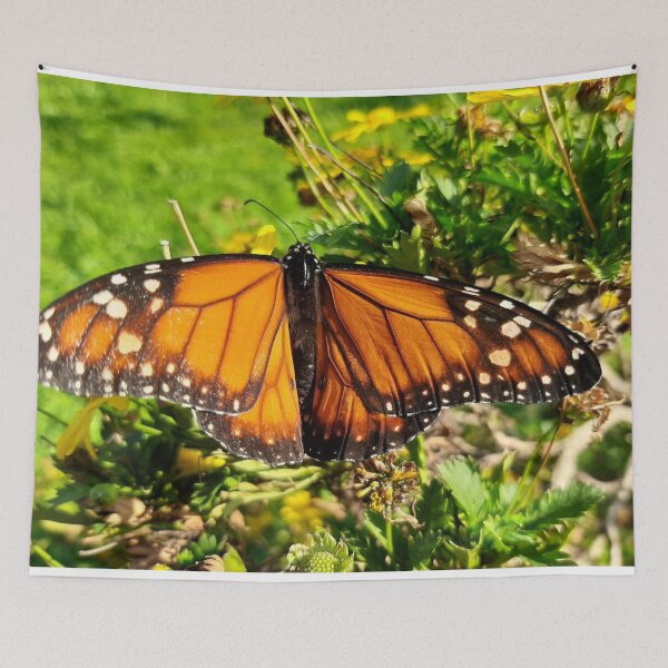Item preview, Monarch of the garden designed and sold by Gege-16.