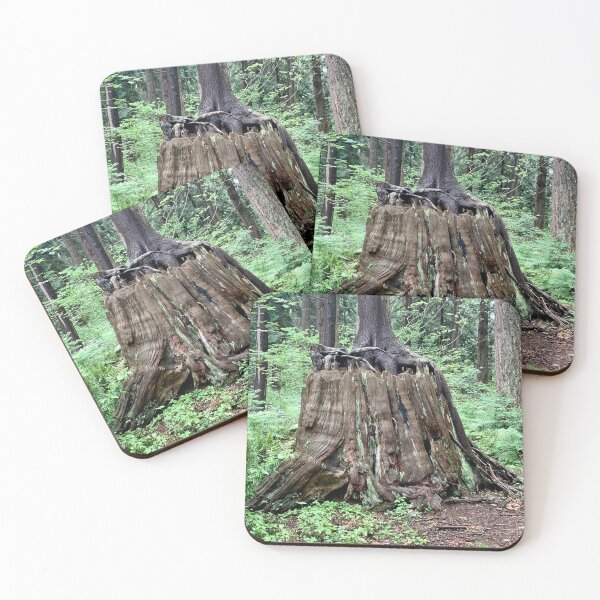 Item preview, Tree trunk  designed and sold by veraD58.