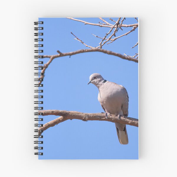 Item preview, Eurasian Collared-Dove  designed and sold by CarolM.