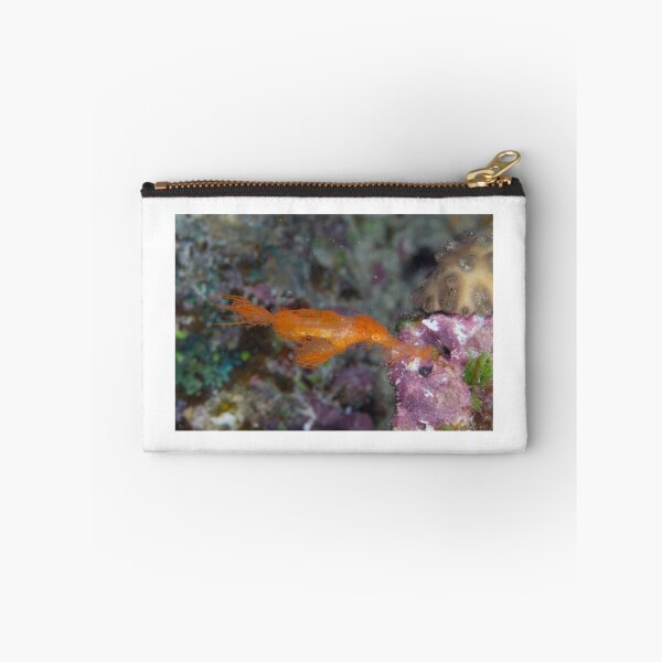 Item preview, Hairy Ghost Pipefish designed and sold by Mark Rosenstein.