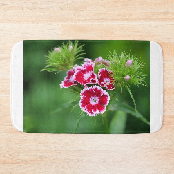 Item preview, Wild flowers floral pink colour dianthus designed and sold by santoshputhran.
