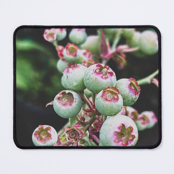 Item preview, Early Blueberries designed and sold by abramichellemorris.