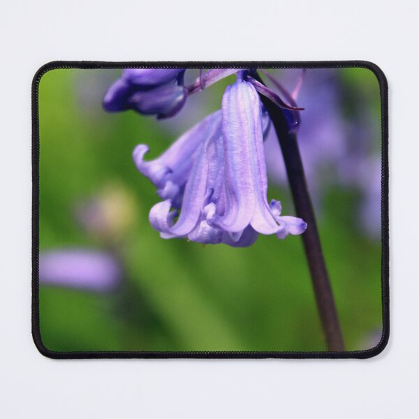 Item preview, bluebell designed and sold by KathleenDawson.