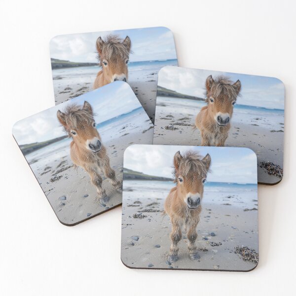 Item preview, Shetland Pony on the Beach designed and sold by Elisabeth Lucas.