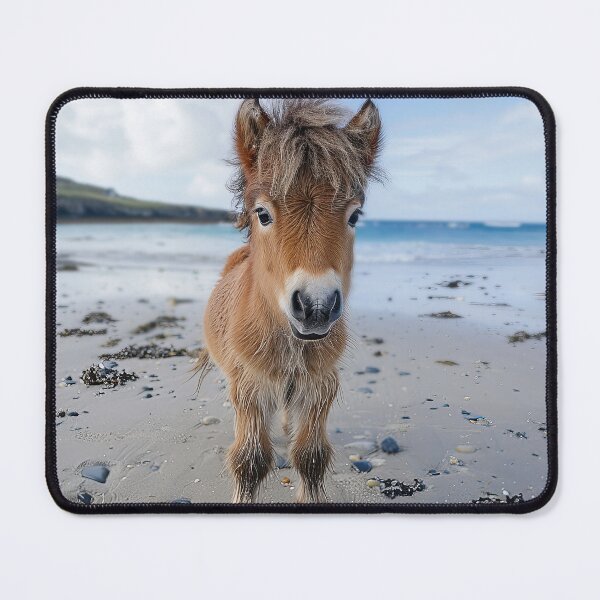 Item preview, Shetland Pony on the Beach designed and sold by Elisabeth Lucas.