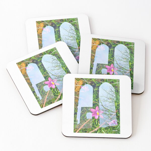 Item preview, Nature at Kirkstall Abbey designed and sold by dawnsm.