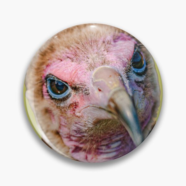 Item preview, Hooded Vulture designed and sold by Dalyndigital Photography.