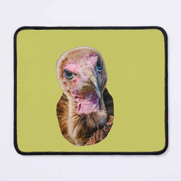 Item preview, Hooded Vulture designed and sold by Dalyndigital Photography.