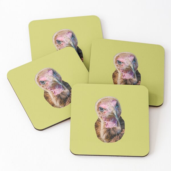 Item preview, Hooded Vulture designed and sold by Dalyndigital Photography.