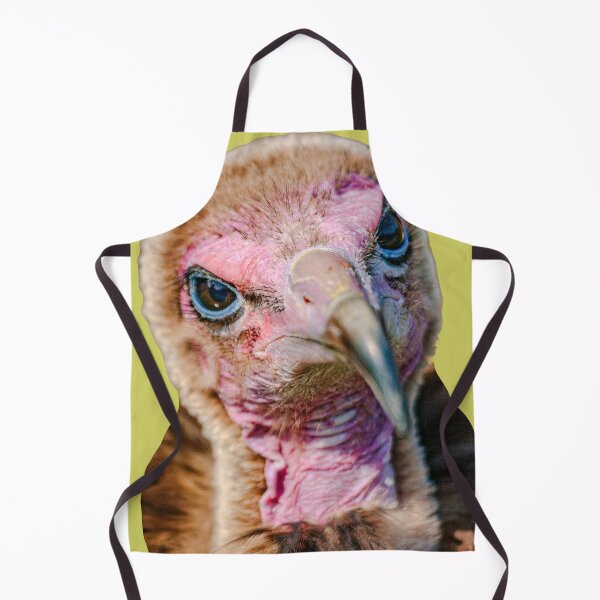Item preview, Hooded Vulture designed and sold by Dalyndigital Photography.