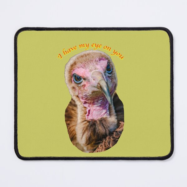 Item preview, Hooded Vulture with his eye on you keep moving! designed and sold by Dalyndigital Photography.