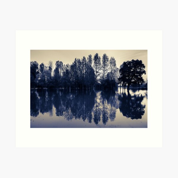 Flooded trees Art Print