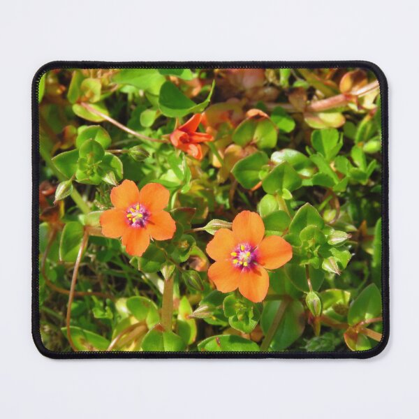 Item preview, Scarlet Pimpernel designed and sold by wiggyofipswich.