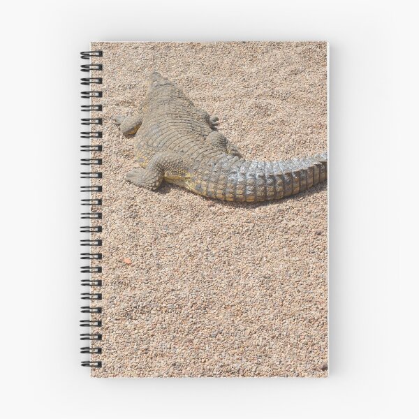 Item preview, walking away crocodile on sand designed and sold by Hilbert72.