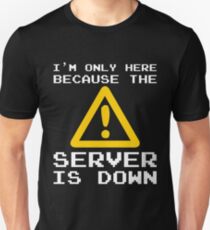 Server Is Down Gamer Funny Quote T-Shirt Gift Unisex T-Shirt