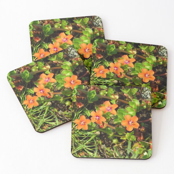 Item preview, Scarlet Pimpernel ( Anagallis Arvensis designed and sold by wiggyofipswich.