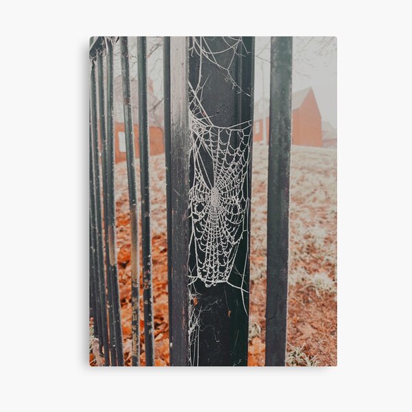 Item preview, Frosted Spider Web designed and sold by aaliyahdeacon.